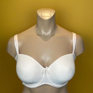 Divine venus