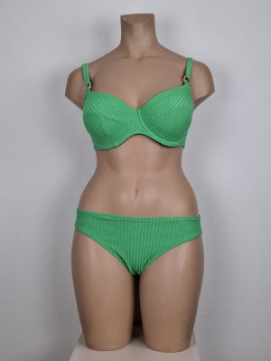 Maringa lush green